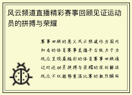 风云频道直播精彩赛事回顾见证运动员的拼搏与荣耀